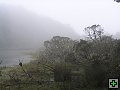thn_NZ leden-unor 2006 298.jpg